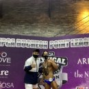 엘리스 휘트니스 이미지