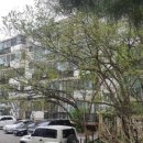 만수주공9단지 이미지