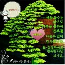 (주)화요일