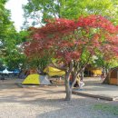 임진강리조트 이미지