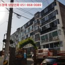 신안로 이미지