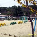 인구초등학교 이미지