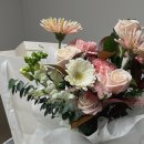 타티아르 이미지