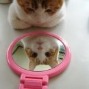 안피부과의원 이미지