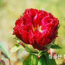 예수님의 12제자 이름과 숨은 의미 이미지