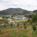 아산시-2006-010 이미지