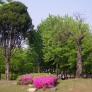 부천중앙공원 이미지