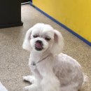 멍무드 살롱 이미지