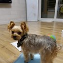 멋지개 예쁘개 이미지