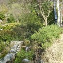 단지장골 이미지