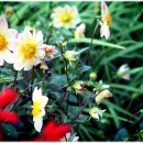 펜션빛뜨란 이미지