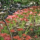 선운산농장 이미지