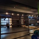 도봉복싱클럽 이미지