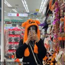 감삼태권도 이미지