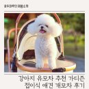 가디즌 | 강아지 유모차 추천 가디즌 접이식 애견 개모차 후기