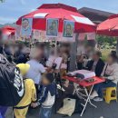 곡성레져문화센터 | 곡성 세계 장미 축제 2025 방문기 / 주차 안내...섬진강 기차마을/유료 5000원/개화상황/다녀온 찐 후기