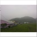 사조리조트