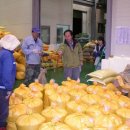 군내농협 이미지