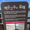보람자동차공업사 | “의왕 백운호수 산책코스 후기 🚶‍♂️ 가족·연인 데이트 명소 추천”