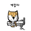 로히메르시 이미지