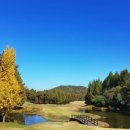 현충원로(유성-18) 이미지