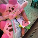 토이포이 이미지