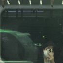 고양아람누리 아람극장 이미지