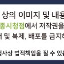 세종오라클피부과의원 이미지