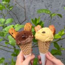 비건 베이커리 당근 컵케이크 | 사당역 베이글 더 래빗 | 건강한 비건 디저트 베이커리 후기