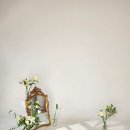 바바사진관