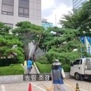 조경설계송림