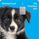 더펫프리미엄 이미지