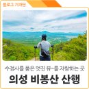 수정사 | 의성에는 두개의 비봉산이 있다! #1. 수정사를 품은 금성면 비봉산 등산 후기