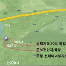 운산리축사 Daum카페