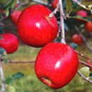 생의찬가 이미지