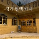 시네모 | 평택카페 시모네 유럽감성 신상 애견동반카페 추천