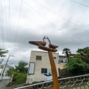 세포마을회관 이미지