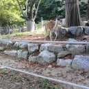 정부청사역 4번출구 이미지