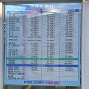 리치 안경콘택트 | 친절한 구리 안경점 레인안경 후기
