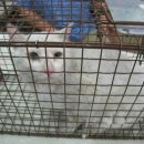 한스동물병원 이미지