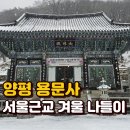 용문사 일주문 | 경기도 양평 가볼만 곳｜용문사 주차장 소요시간 꿀팁