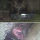 신혜농장 이미지