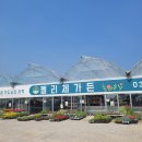 미미플라워&가드닝 | 펠리체 가든과 예삐플라워 아울렛 방문 후기 (주관적인 비교)