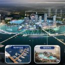 엠티브이6로 이미지