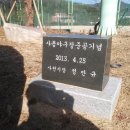 사등야구장 이미지