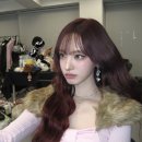디자인커런트