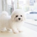 바우스토리 이미지