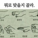 제주도 푸른밤 이미지