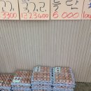 박사장네정육점