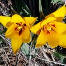 서천농장 이미지